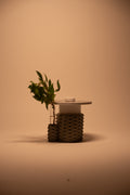 RESTO 01